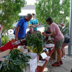 Der Tisch mit den Preisen