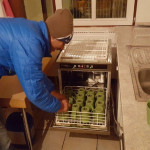 Spüldienst, diesmal vollautomatisiert