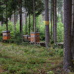 Wohnhäuser fleißiger Sammler am Rande der Tour.
